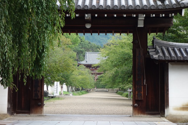 醍醐寺