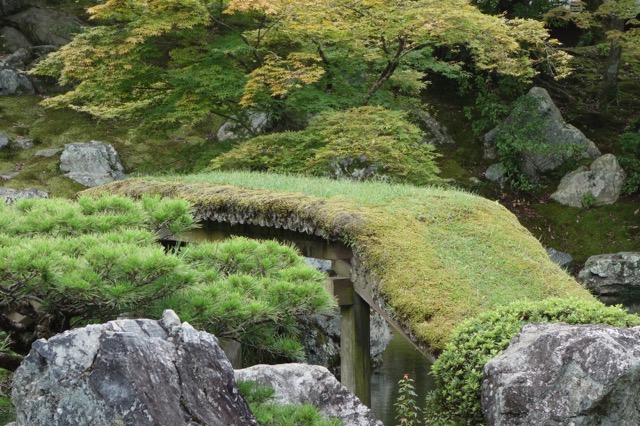 醍醐寺
