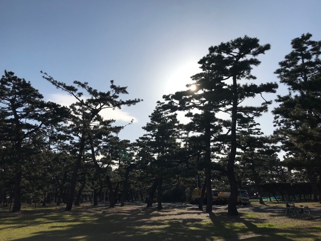 浜寺公園