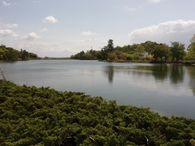 兵庫県立フラワーセンター