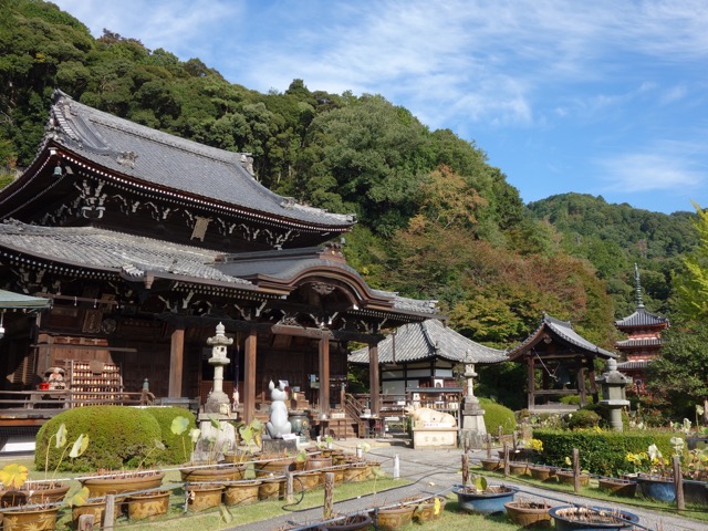 三室戸寺