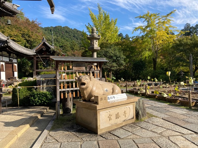 三室戸寺