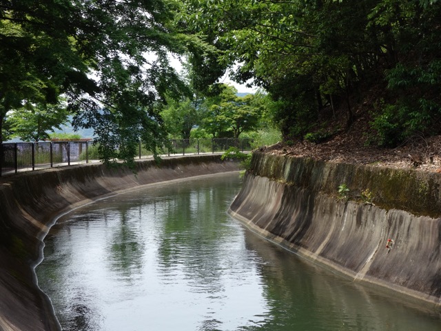 琵琶湖疎水