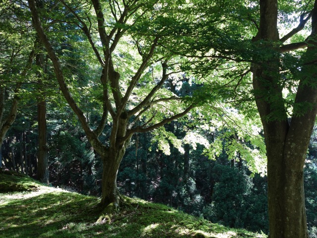 比叡山延暦寺
