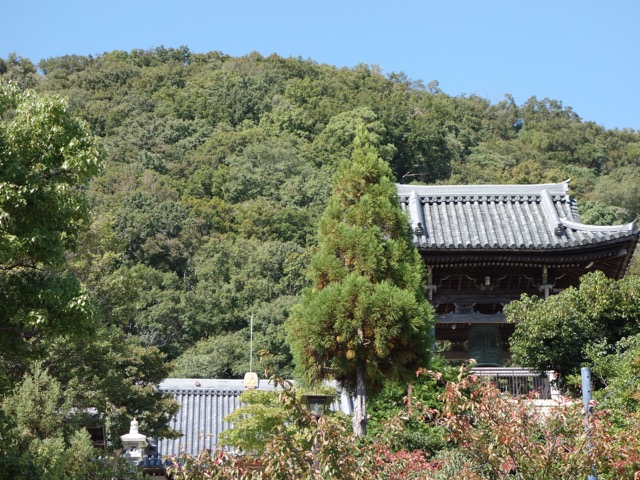 神呪寺