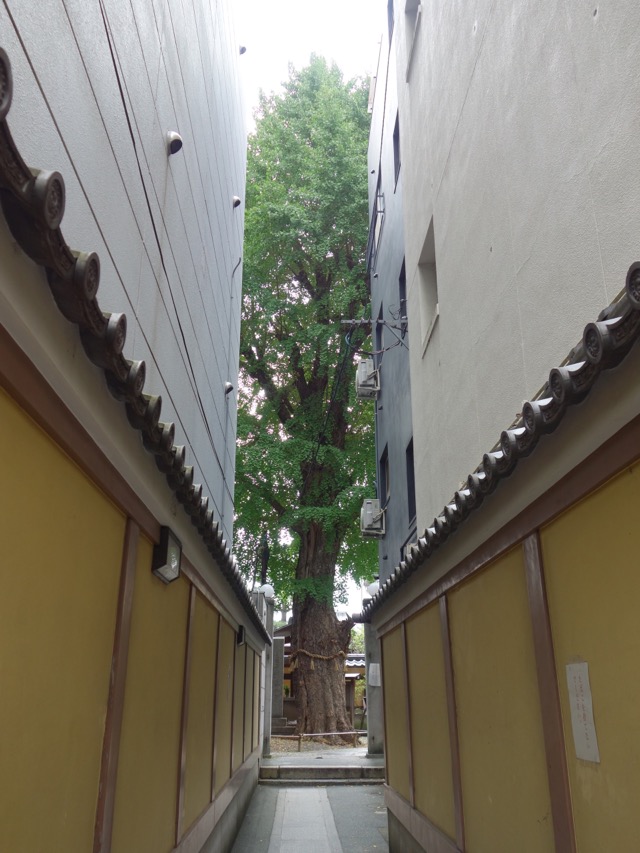 本能寺