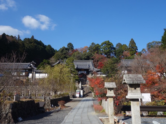 柳谷観音(楊谷寺)