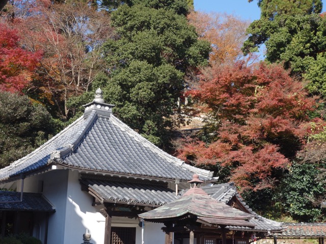 柳谷観音(楊谷寺)