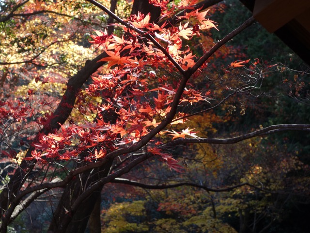柳谷観音(楊谷寺)