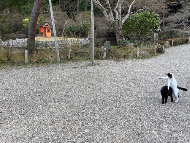 浄瑠璃寺