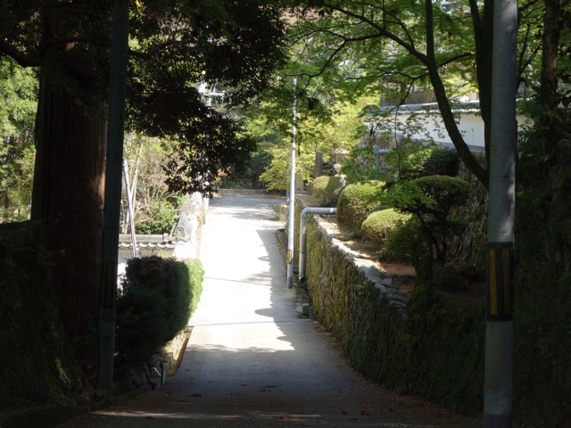 光明寺
