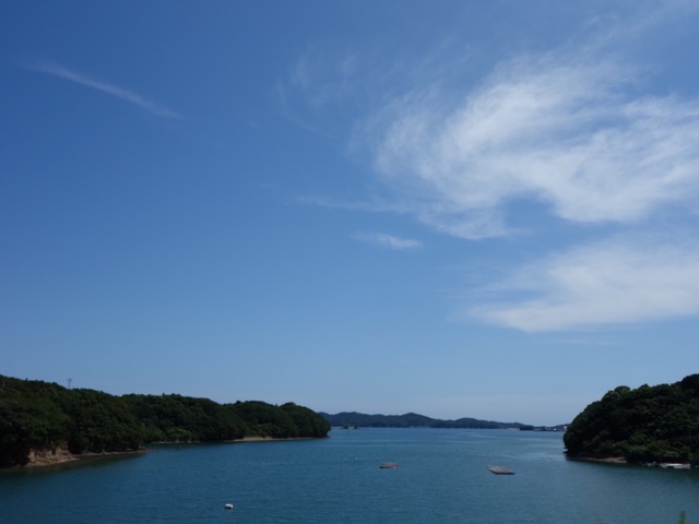 国道260号線