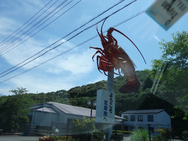 国道260号線