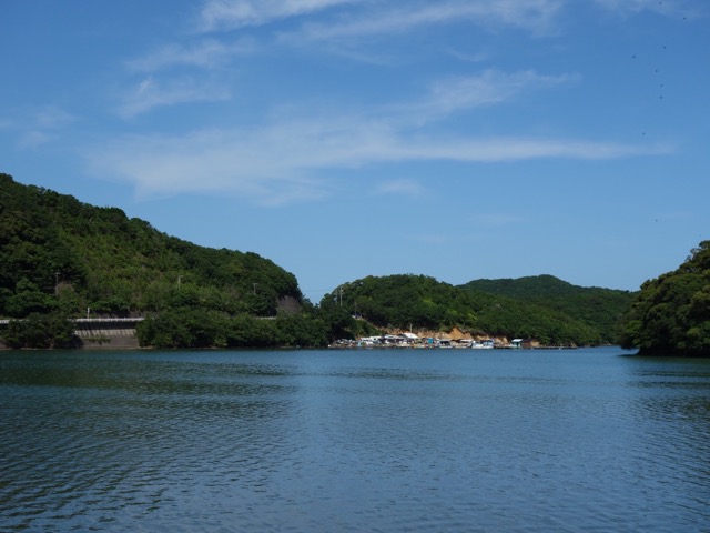国道260号線
