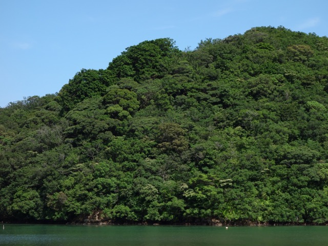 国道260号線