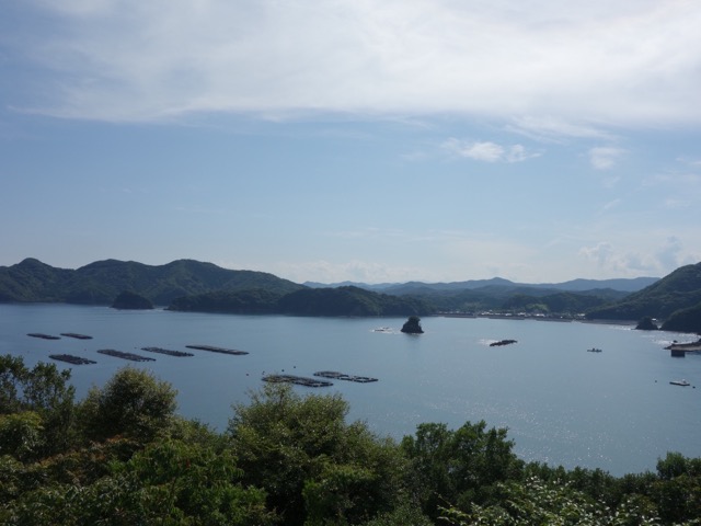 国道260号線