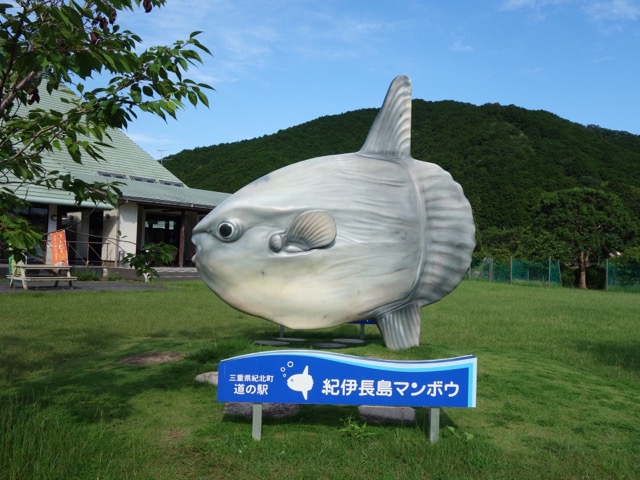 国道260号線