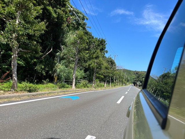 国道260号線