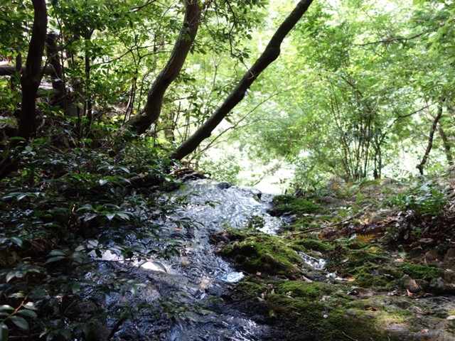 琴滝