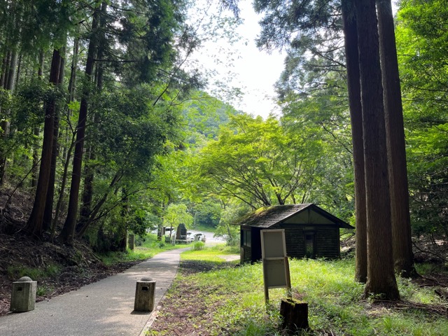 琴滝