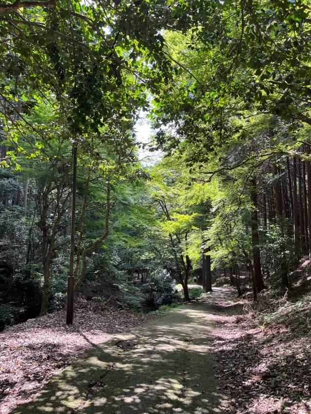 琴滝