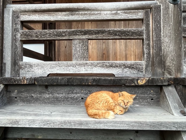 帯解寺