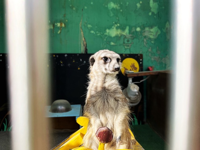 和歌山城公園動物園