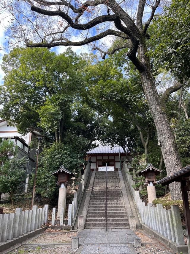 紫金山公園