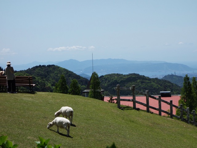 六甲山牧場