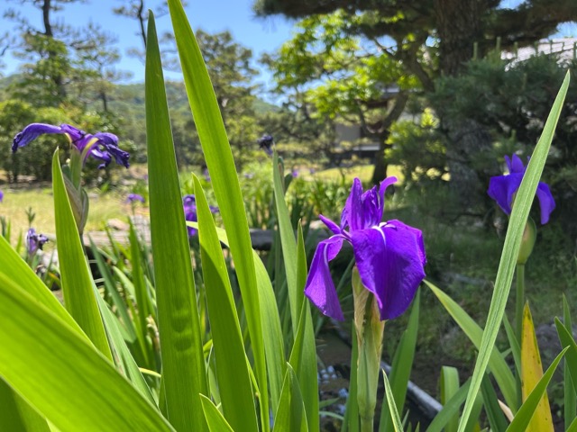 養翠園