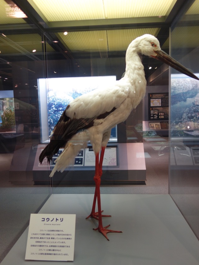 兵庫県立人と自然の博物館