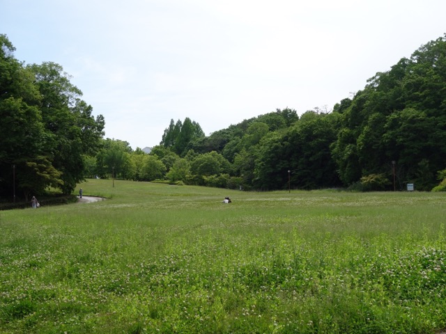 兵庫県立人と自然の博物館