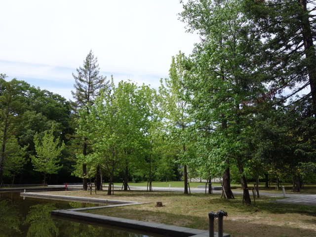 兵庫県立人と自然の博物館