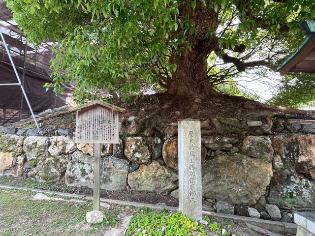 青蓮院