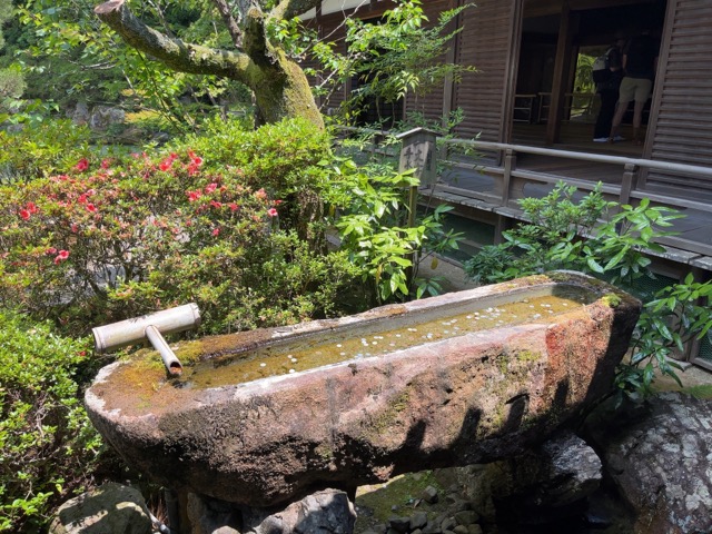 青蓮院