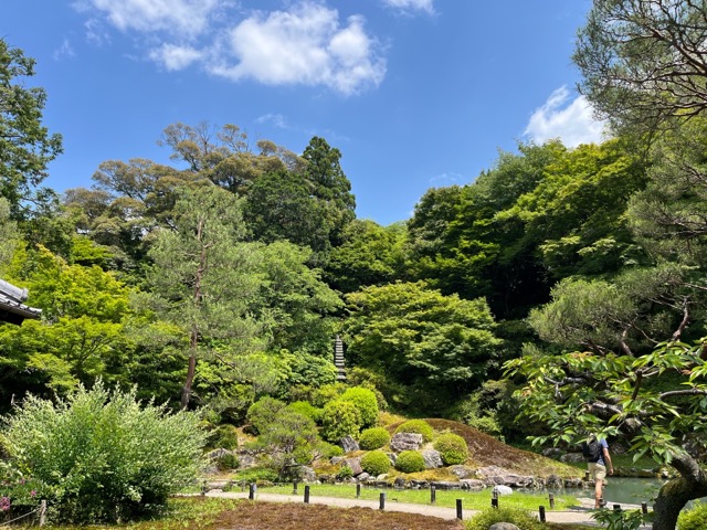 青蓮院