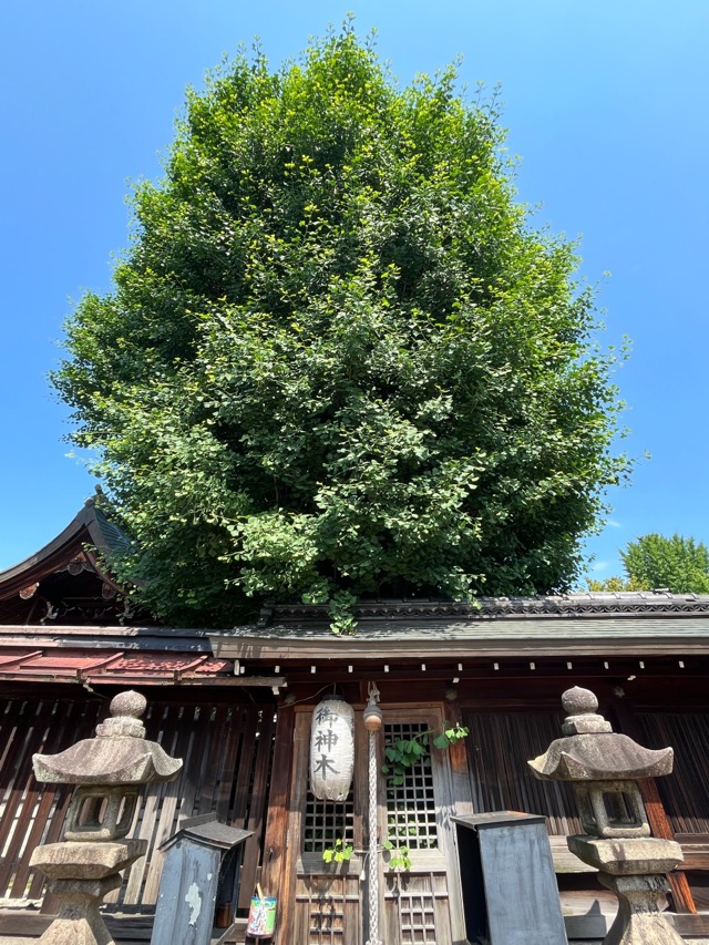 大将軍神社（東三條社）
