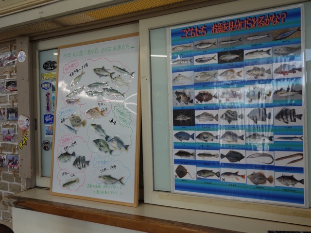 尼崎市立魚つり公園