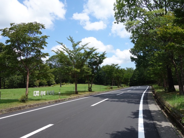 木の殿堂