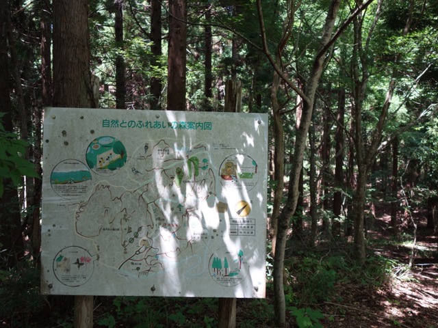 木の殿堂