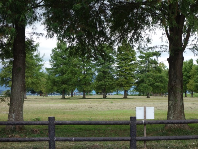 湖岸道路