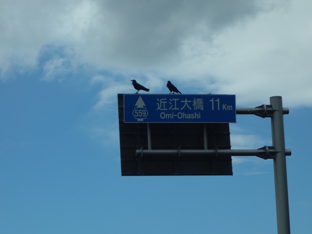 湖岸道路