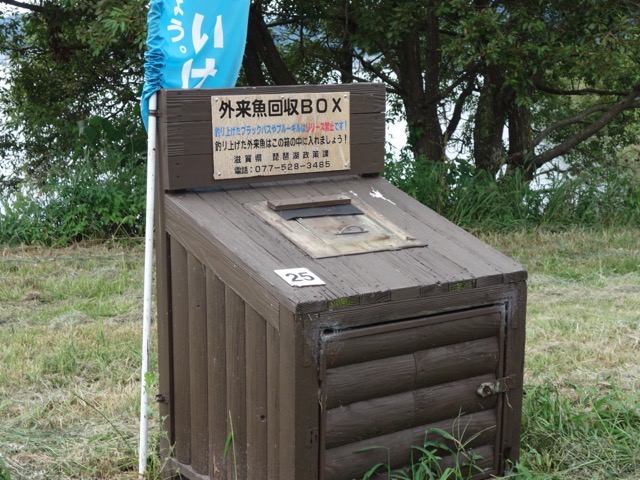 湖岸緑地