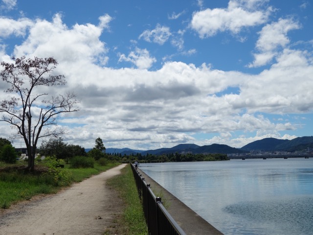 湖岸緑地