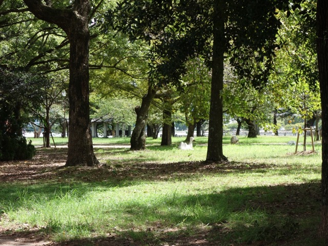 膳所城跡公園