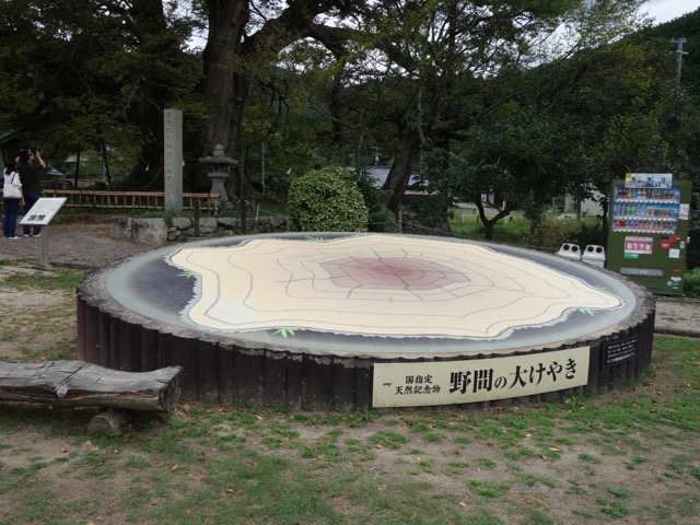 野間の大ケヤキ
