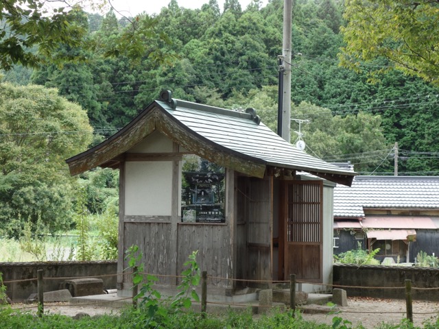 野間の大ケヤキ