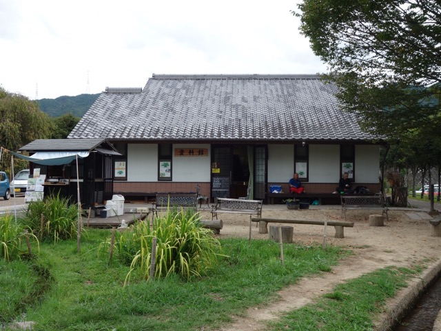 野間の大ケヤキ