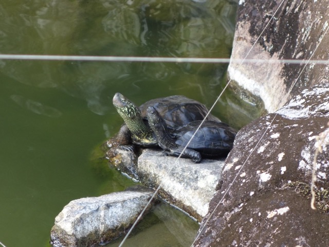 清荒神清澄寺