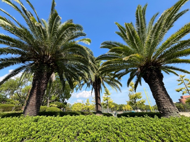 大倉山公園